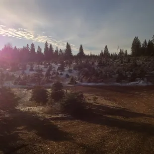 beautiful day at snowy peaks!