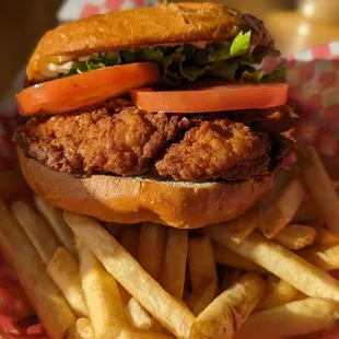 Fried Chicken sandwich with a single order of fries.  Everything was hot and tasty!