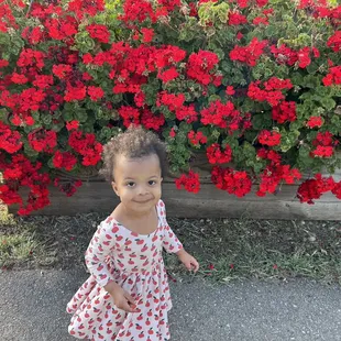 My daughter &amp; I love the beautiful flowers of snug harbor.