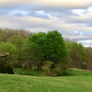 300 acres of vistas