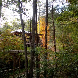 Cabin by the Creek