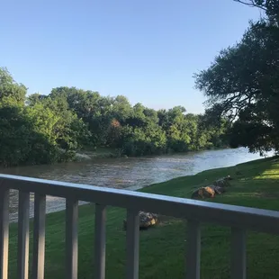 View from our table