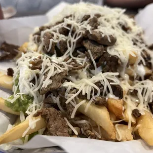 Carne Asada Fries with Meat Full Size