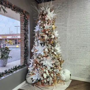 Too beautiful not to take a picture for all to enjoy