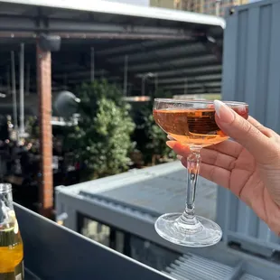 Sparkling Rose