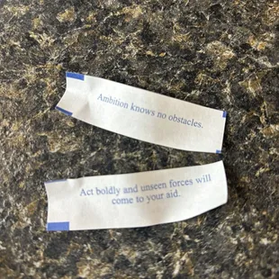 Fortunes are fun to read