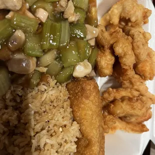 Combination Dinner A:  Chicken Chow Mein, S&amp;S Chicken, Egg Roll, Fried Rice