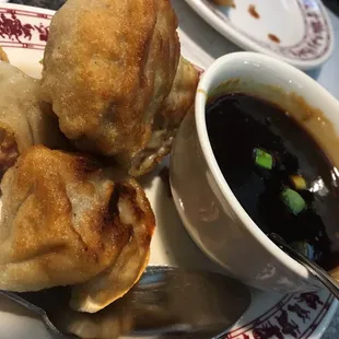 Fried Dumplings