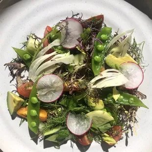Seasonal Vegetable salad
