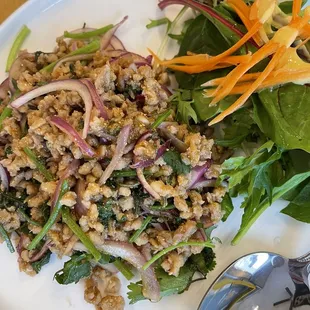 Larb Salad