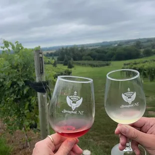 two people toasting with wine glasses