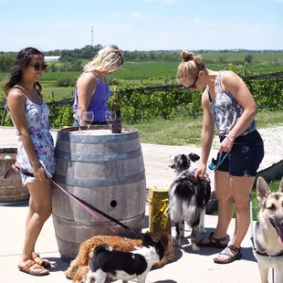 a group of women with their dogs