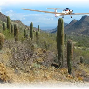 You Will Have a Soaring Adventure