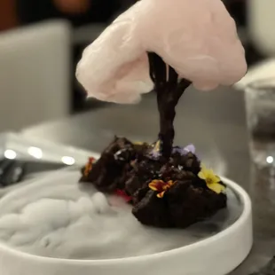 Black Forest cake