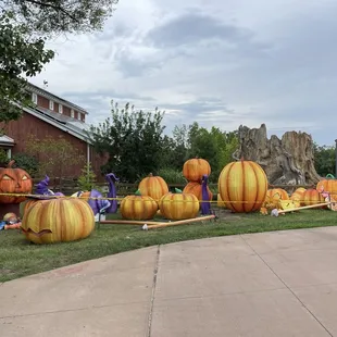 Getting ready for the upcoming Glo-Wild event.