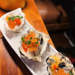 Oysters 5/5