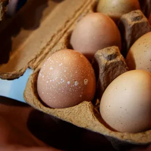 Fresh Local Eggs