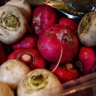 Garcia's Radishes