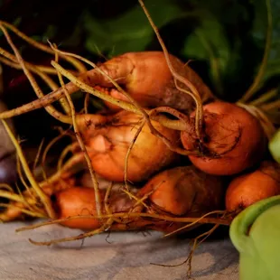Warfleigh Cottage Gardens Beets