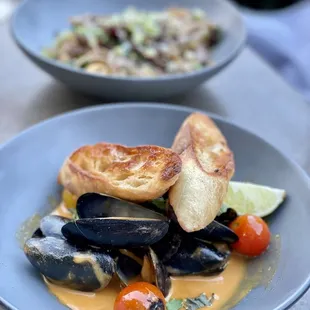 shellfish, mussels, oysters, food, oysters and mussels