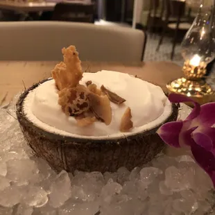 Coconut on the Half Shell