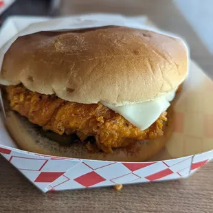 Spicy chicken sandwich