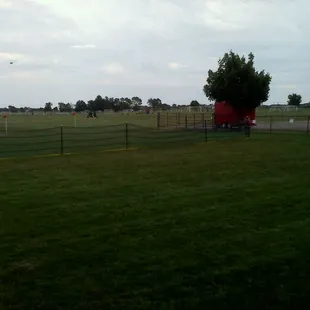 Outdoor fields (partial view - at least 20+)