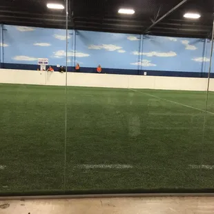 Pretty cool turf