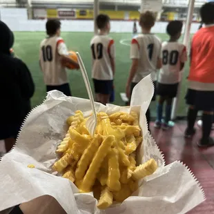 Cheese fries ($8) undercooked but good quality