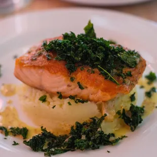 Salmon