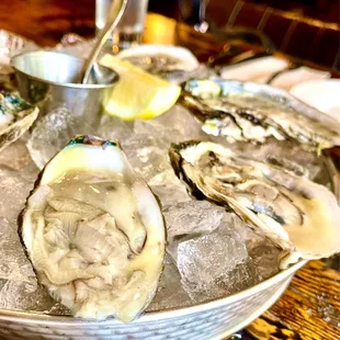 a platter of oysters on ice