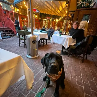 Ambiance on the heated patio