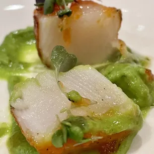 Seared Scallops