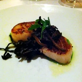 Seared Scallops
