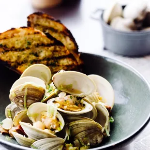 a plate of clamsel with garlic bread