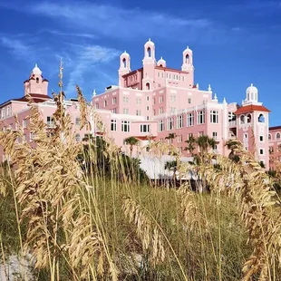Don cesar resort