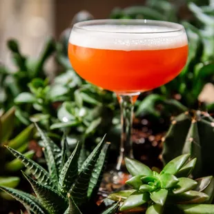 Unique drinks