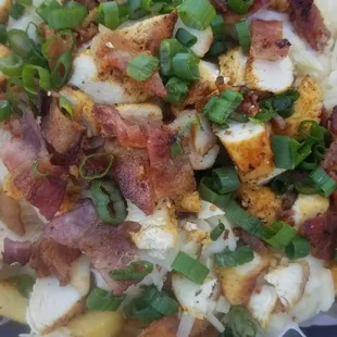Loaded cheese fries