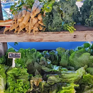 Look at all thos greens!