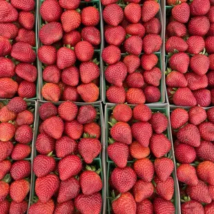 Strawberries
