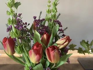 Corona del Mar Certified Farmers Market