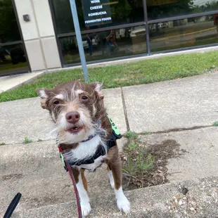 Miss Sophia checking thing out!