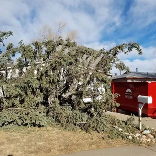 This Dumpster was rented for a downed tree during a windstorm. Did you know SOCO Waste recycles clean tree loads?