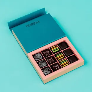 12 piece Catalyst Collection