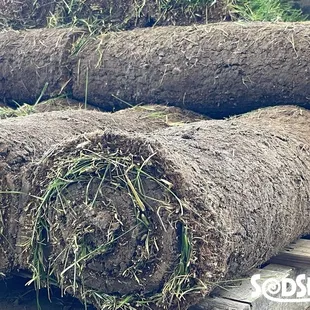 Sod by the roll, 1 sq yard each.