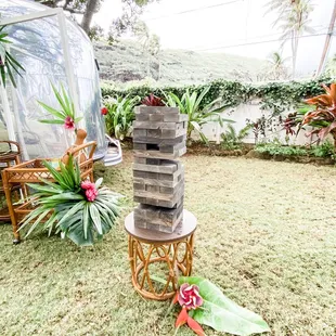 ****Rentals***** BIG Jenga!!!