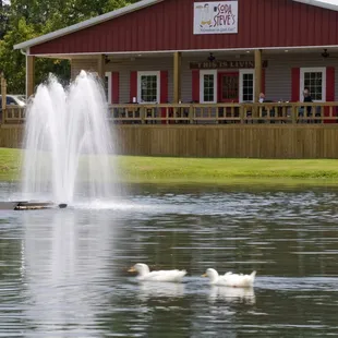 Soda Steve's Deck as viewed by the Ducks.