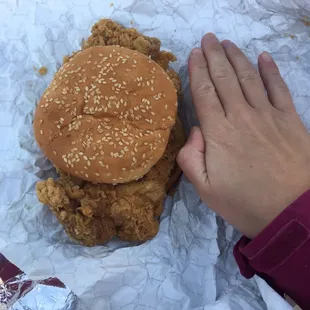 Fried Chicken Sandwich