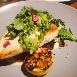 Pollo