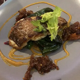 Gulf Fish